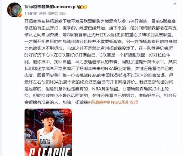 拓记：杨瀚森将随队参与明日训练，训练后将再次下放混音队